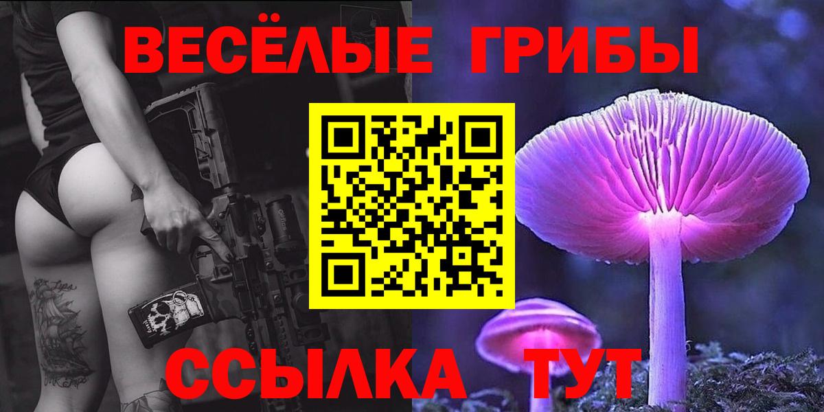 Фрязино  Галлюциногенные грибы мицелий  Вход с VPN  где продают наркотики  Галлюциногенные грибы Cubensis 