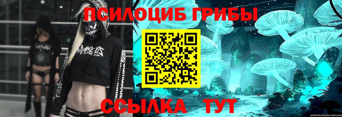 Псилоцибиновые грибы Magic Shrooms Фрязино